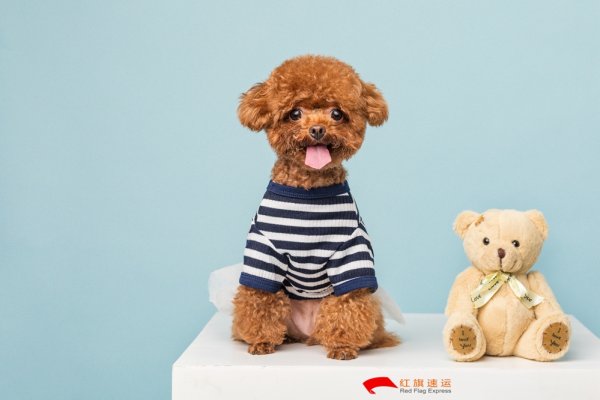 疫情期間香港商品如何轉運到河南商丘呢？
